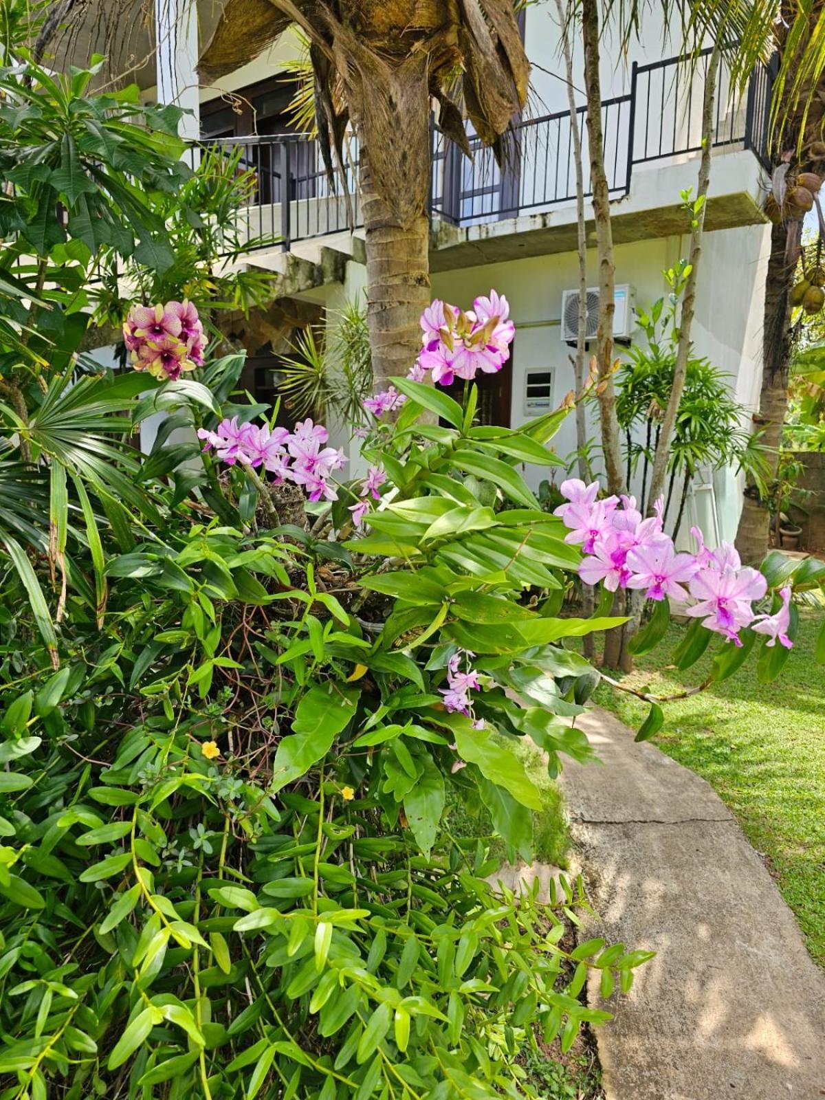 Bed & Breakfast Optimum Residencies Negombo