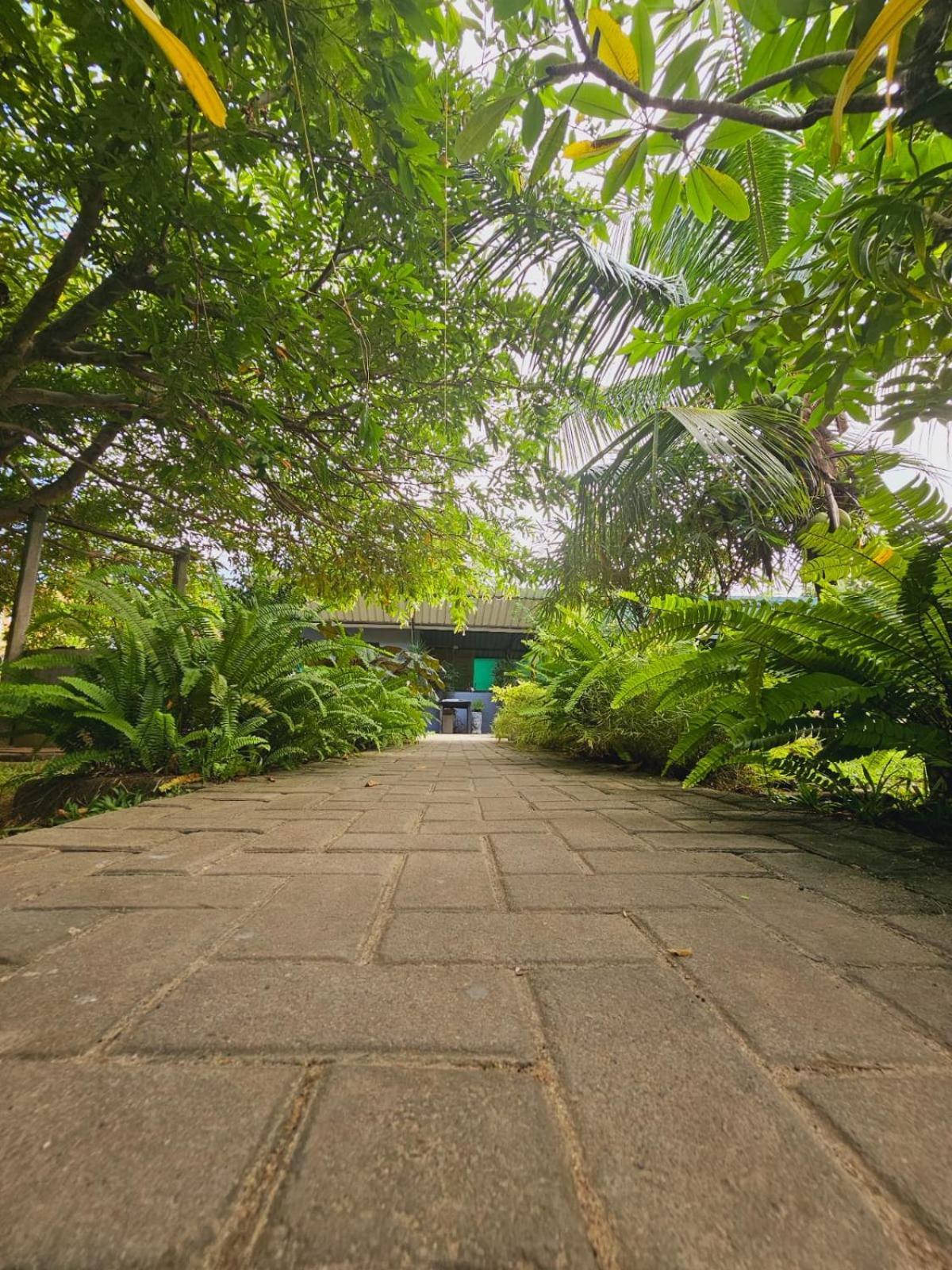 Optimum Residencies * Negombo